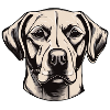 Hundehalter Pfote Vierbeiner Hundefreund