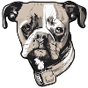 Dog four-legged mistress