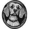 Dog Owner Four-legged Animal Welfare