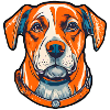 Dog Dog Lover Animal Welfare