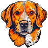 Dog Paws Pets Animal Lover
