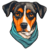 Hunde Hundesport Hundeschule Herrchen