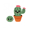 Cactus Cacti Desert Plant