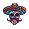 Sombrero Mexican Skull