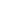 2025 Line
