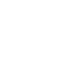 2025 Line Icon
