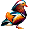 Mandarin duck