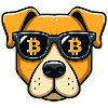 Cool dog with Bitcoin glasses