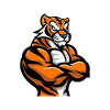 Tiger Comic