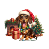 Noël teckel