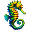 Seahorse