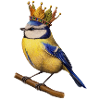 Autumn King