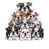 Englische Bulldogge Turm