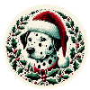 Dalmatien de Noël