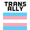 trans ally