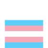 Trans ally