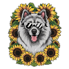 Mignon Wolfspitz aux tournesols.