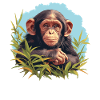 Chimpanzee Schimpansen Schimpanse