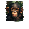 Chimpanzee Schimpansen Schimpanse