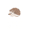 hérisson animal épineux hérisson