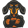 Hund Pinscher Dog