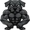 dog dog