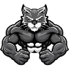 Wildcat Comic
