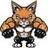 Wildcat Comic