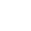 Rebel Skull