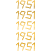 Born in 1951