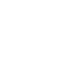 Toucan Bird Exotic