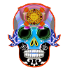 skull 16