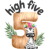 High Five Zebra Safari