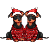 Doberman Dog Christmas Team