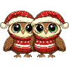 Owl Christmas Team
