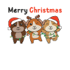 Guinea Pig Christmas Winter Animals