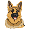 Dog German Shepherd