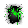 Spiders Spider Halloween Spiders Phobia