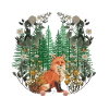 Fuchs Füchse Wald Waldtiere Waldbewohner