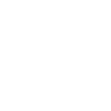 Make Neuwahlen Schnell Again