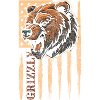 Grizzly Fur Polar Bear