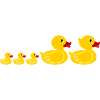 Duck family