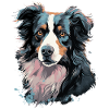 Border Collie Chien