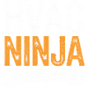 HVAC Ninja – Professionnel invisible