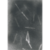 Abstract Lines - 1