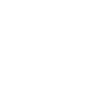 Limited Edition 1955