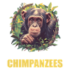 Chimpanzee Schimpansen Schimpanse