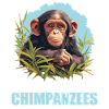 Chimpanzé Schimpansen Schimpanse