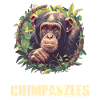 Chimpanzé Schimpansen Schimpanse