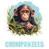 Chimpanzee Schimpansen Schimpanse